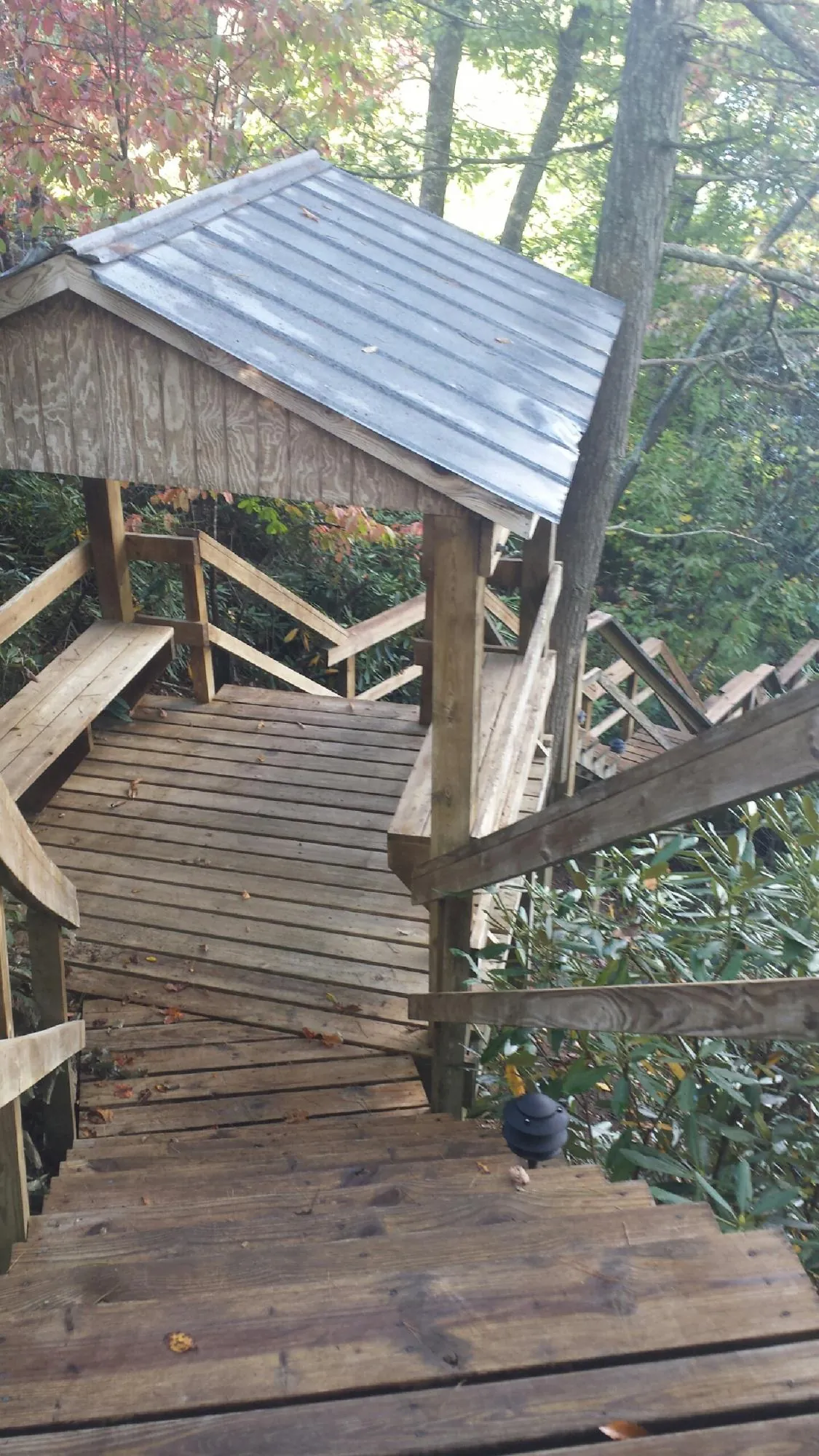 Metal roofed shelter over wooden steps on a wooded walkway — Skylight Repair & Installation work by our crew in Laredo